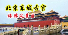 黄色视频肉棒用力插中国北京-东城古宫旅游风景区